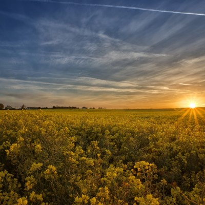 1920 x 1080 HD Wallpapers 3343